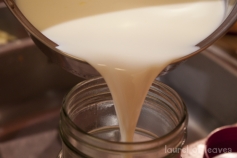 Homemade Yogurt: So Easy It’s Scary