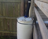Rain Barrel