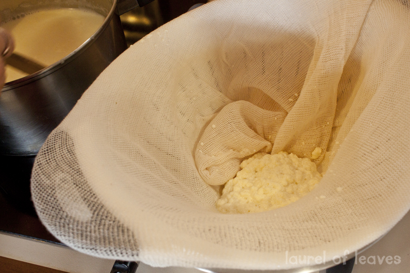 Ricotta Cheese in the Colander Ricotta Cheese in the Colander